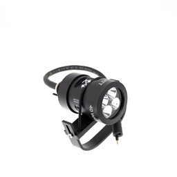 Zeige Details für Yellow Diving Lampenkopf L40 Bild von Yellow Diving Lampenkopf L40