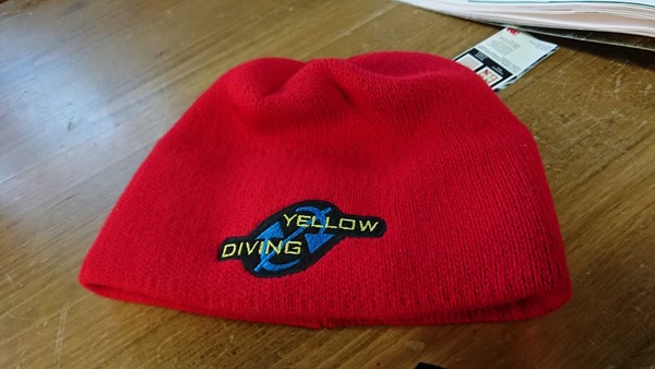 Bild von Mütze Yellow Diving